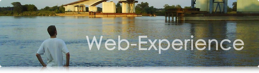 Web-Experience